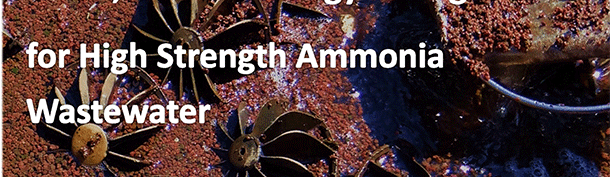 anammox 專利
